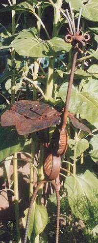 Side View