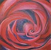 Rose 24" x 24"